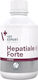 VetExpert Hepatiale Forte Liquid Πολυβιταμίνες Σκύλου 250ml για Ηπατικές Παθήσεις
