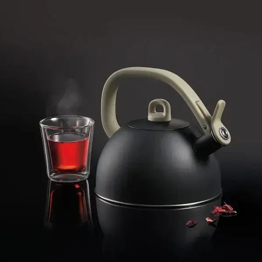 Tescoma Βραστήρας Ανοξείδωτος 2000ml