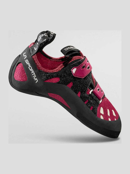 La Sportiva Tarantula Kletterschuhe Lila
