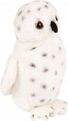 Suki Owl