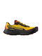 Ανδρικά Αθλητικά Παπούτσια Running Yellow Black