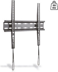 Elb-2355/fix Jollyline Βαση Toixoy Tv 23-55 Fixed 35kg