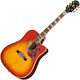 Epiphone Epiphone Semi-Akustik Gitarre Hummingb...