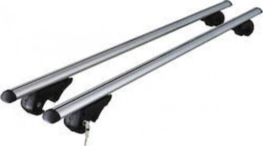 Autodachträger Aluminium Station 120cm Silber Set 2 Träger