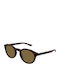 Gucci Unisex Sunglasses With Brown Horn-Rimmed Frame And Brown Lens GG2079S 002