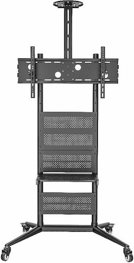 Focus Mount T622 Boden TV-Halterung bis 85" und 90kg