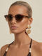 Luigi Unisex Sunglasses with Brown Metallic Frame and Brown Lenses 4856213