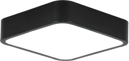 Spot Light Ceiling Light Black with Integrated LED
