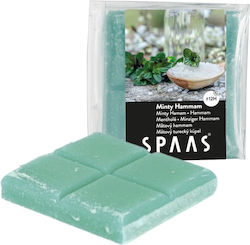Spaas Raumdüfte Wachsschmelze 31gr
