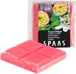 Spaas Raumdüfte Wax Melt mit Parfüm Tropische Freude 31g