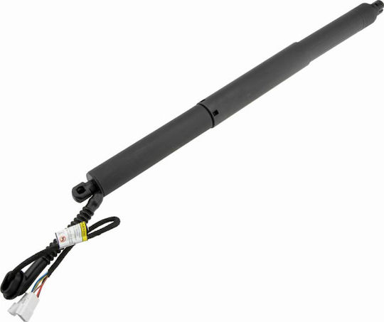 Gas Shock Trunk Area Bmw X5 2013-2018 2.0l Suv Bmw X5 2013-2018 3.0l Suv Bmw X5 2013-2018 4.4l Suv