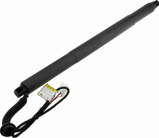 Gas Shock Trunk Area Bmw X6 2014-2019 4.4l Suv Bmw X6 2014-2019 3.0l Suv Bmw X6 2014-2019 2.0l Suv