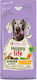 Happy Life 12.5kg Trockenfutter für Ältere Hunde mit Huhn, Reis, Fleisch und Gemüse