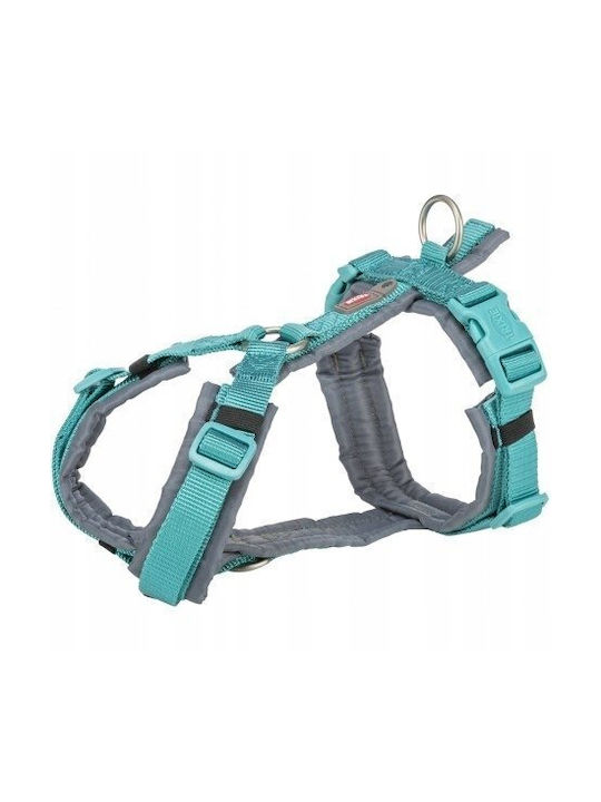 Premium Trekking Hundegeschirre Aqua Türkis M 53–64 Cm/20 Mm