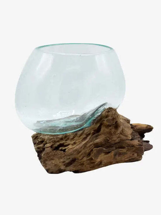 Phos & Gaia Decorative Glass Transparent Bowl