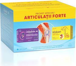 Good Days Therapy Klokan Pack + Celadrin Extract Forte 90 Capsule Good Days Therapy Klokan Pack + Celadrin Extract Forte 90 Capsule