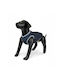 Jacket Dog Dark Blue Quilted Size Xs 30