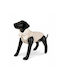 Jacket Dog Beige Size 3xl 60