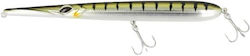 Golden Catch Harisma Sw Τεχνητό Δόλωμα Κουταλάκι 18gr 08 Golden Catch Harisma Sw Τεχνητό Δόλωμα Κουταλάκι 18gr 08