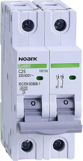 Elektrischer Leistungsschalter 2-polig 16a Noark Weiß 110086