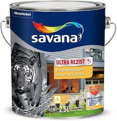 Multisurface Email Ultra-resistente Savana Pima Grünes 0.75l Ext10186