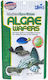Hikari Tropical Algae Wafer 250g