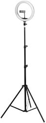 NetOne GS-75802 Ring Light NetOne GS-75802 Ring Light