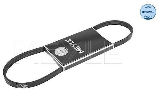 Curea Dinamo Polyv 4pk890 0500040890 0500040890-10761