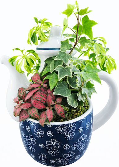 Compoziție De Plante Mici Ceramică Imprimeu Ceainic Albastru Înălțime 20cm Lățime 17cm Milvaflowers