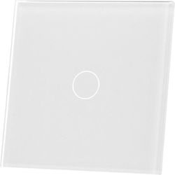 Livolo Switch