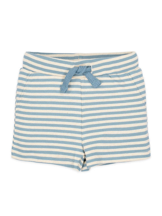 Kids Shorts/Bermuda Fabric Blue Stripe