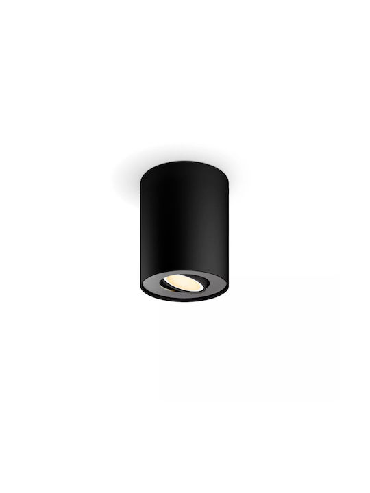Philips Pillar Monospot in Schwarzes Farbe