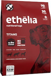 Ethelia Titans Large Breeds Ethelia Titans Large Breeds