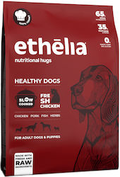 Ethelia Healthy Dogs for Adult & Puppies Ethelia Healthy Dogs for Adult & Puppies