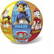 Μπάλα Πλαστική 23cm Paw Patrol 30/3339