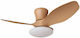 Spot Light Ceiling Fan 80cm with Brown Light Fi...