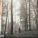 Taylor Swift Folklore Vinyl