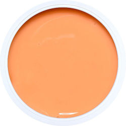Alezori A&g Hybrid Acrygel False Nail Gel Spect...