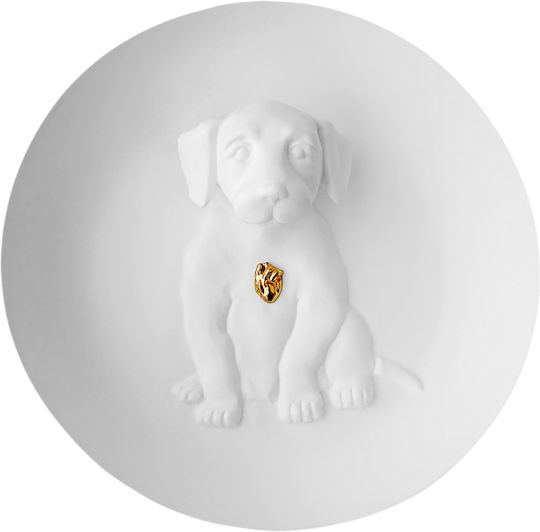 Raeder Wall Decor White Made of Ceramic Material 20x6cm