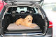 Kong Dog Car Seat