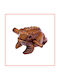 Paradise Waterfalls Decorative Frog Made of Wood 70x70cm