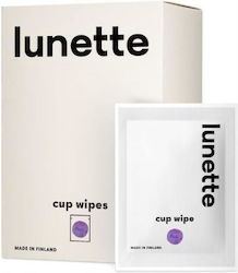 Lunette Reinigung für Saisonbecher