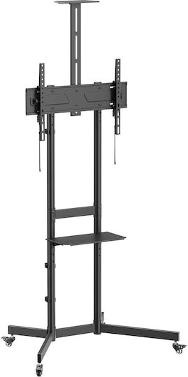 Equip 650636 TV-Halterung Boden bis 70kg Schwarze