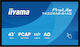 Iiyama T4329AS-B1AG Public Display 4K UHD 43"