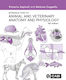Introduction To Animal And Veterinary Anatomy And Physiology - Cabi Publishing - Paperback / Softback