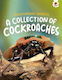 Discovering Insects: A Collection Of Cockroaches - Hungry Tomato Ltd - Paperback / Softback