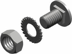 BAKS Βίδα με Διάμετρο M6 και Μήκος 10mm 100τμχ