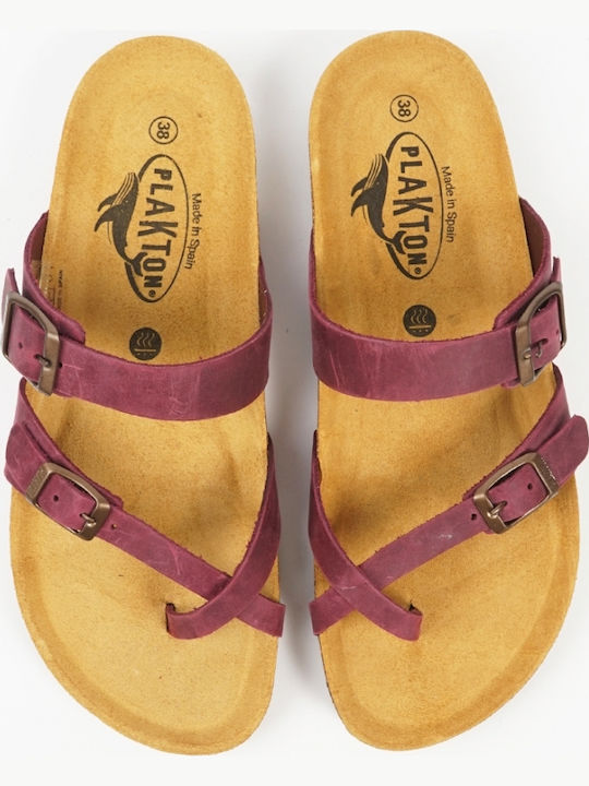 Plakton Leather Women's Anatomic Sandals Purple