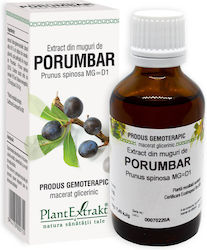Plantextrakt Extract Din Muguri De Prun Negru 50ml Energie Plantextrakt Extract Din Muguri De Prun Negru 50ml Energie