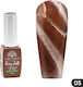 Global Fashion Gel Nail Polish 05 Cat Eye 8ml